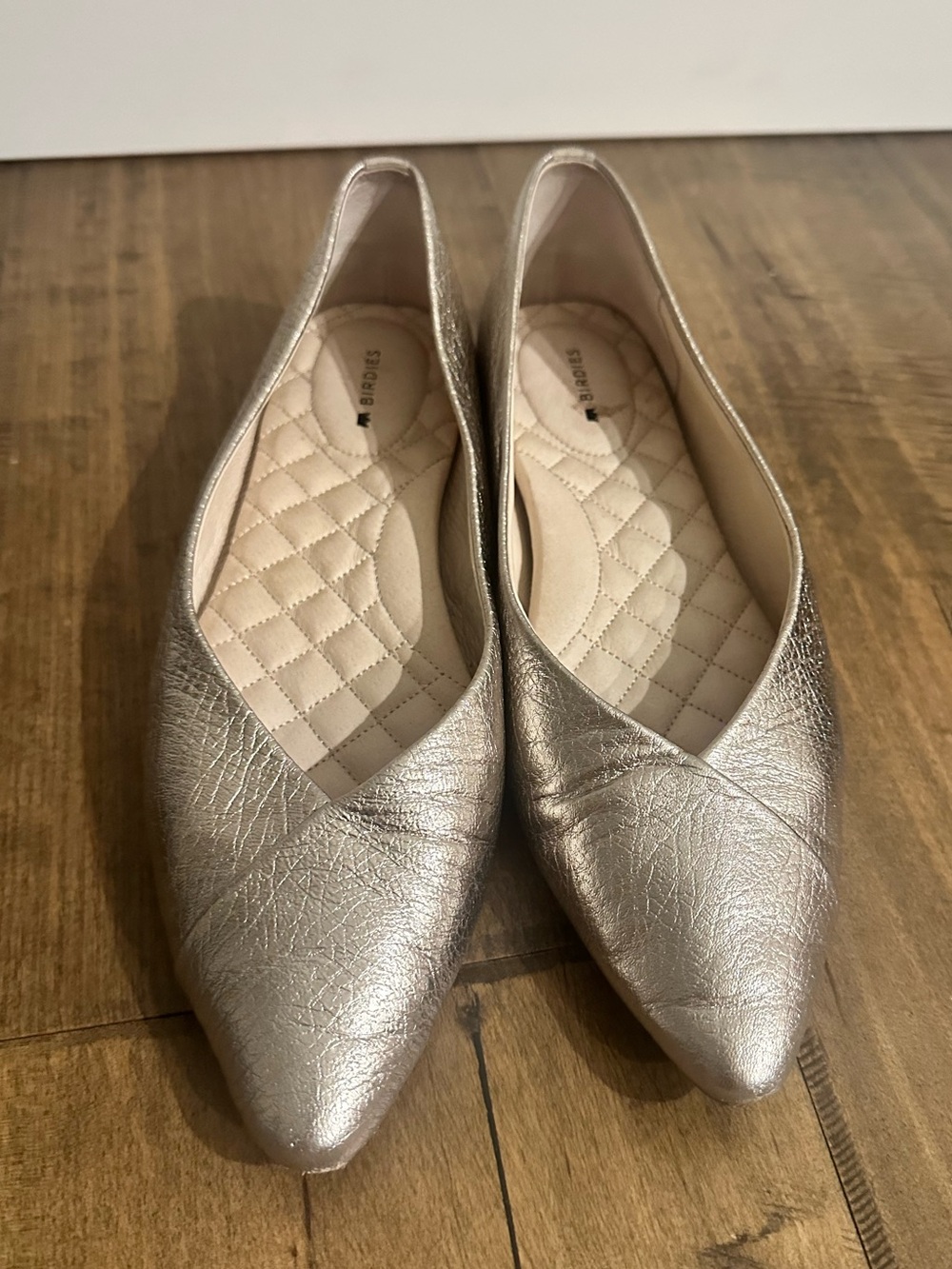 Metallic Silver Pointed Toe Ballet Flats - Birdies